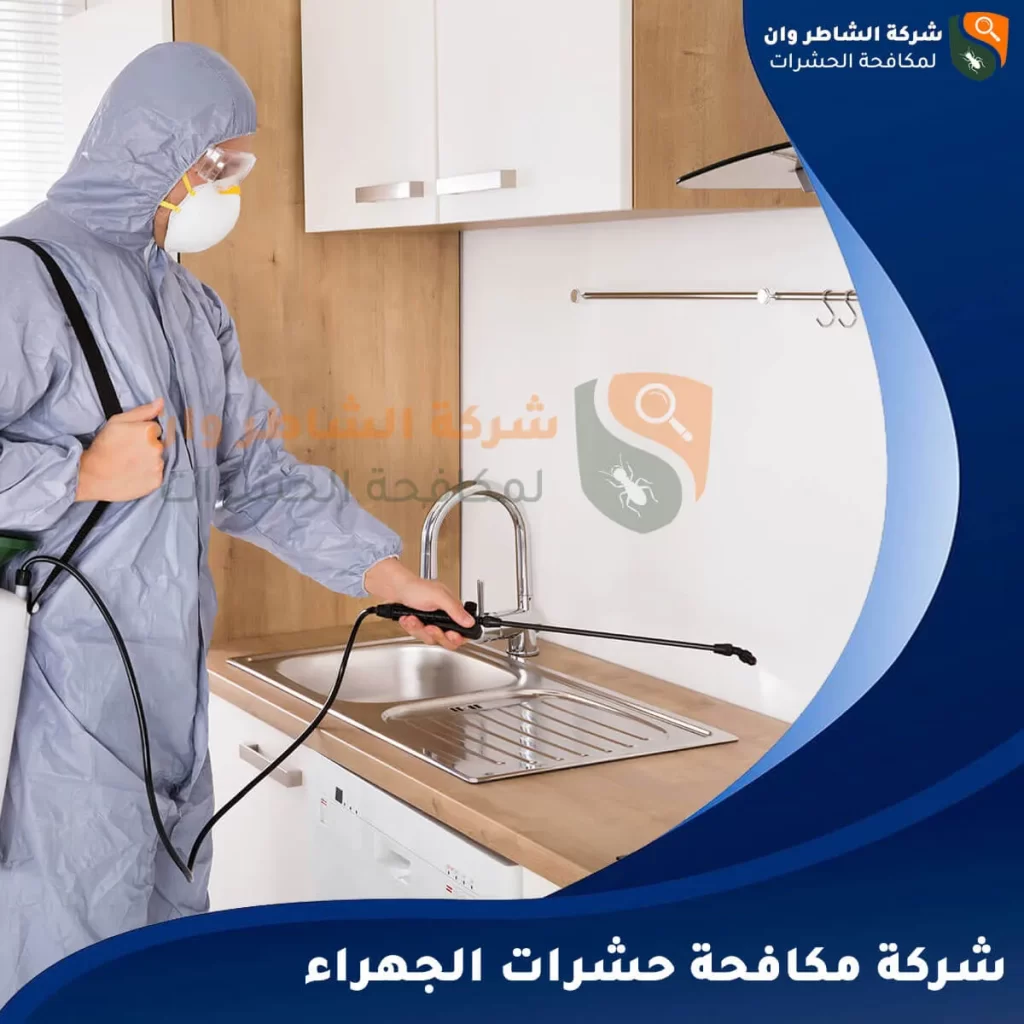 شركة مكافحة حشرات الجهراء
