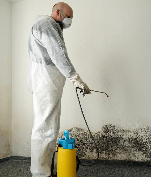 شركة مكافحة الفئران