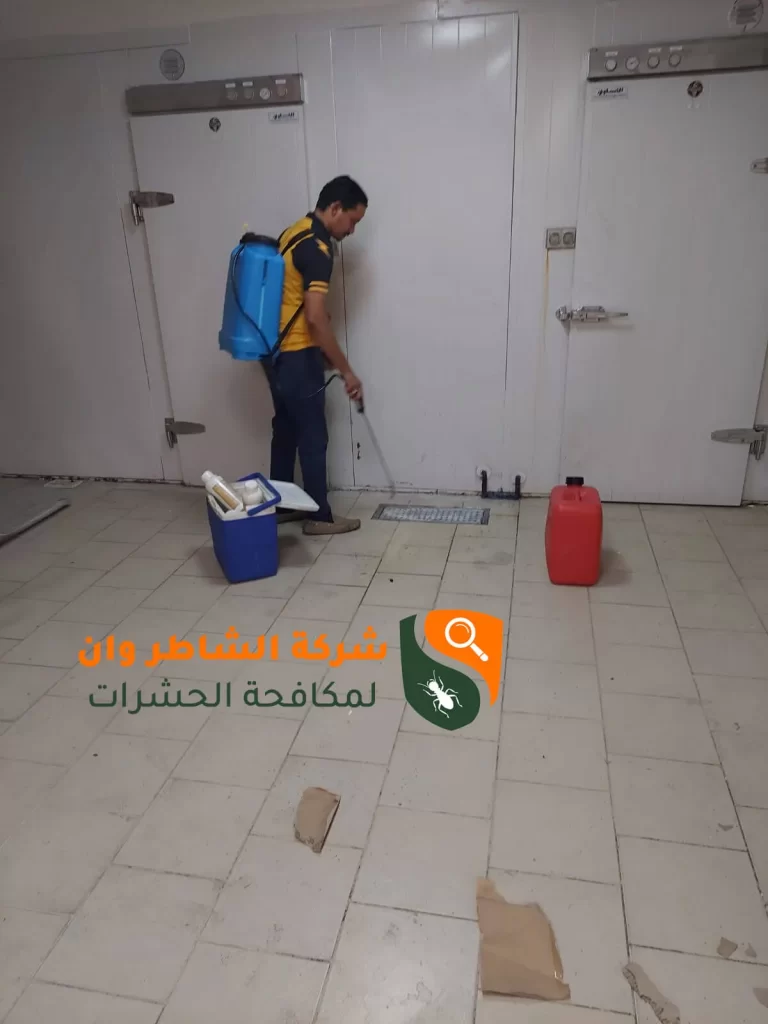 القضاء على الحشرات