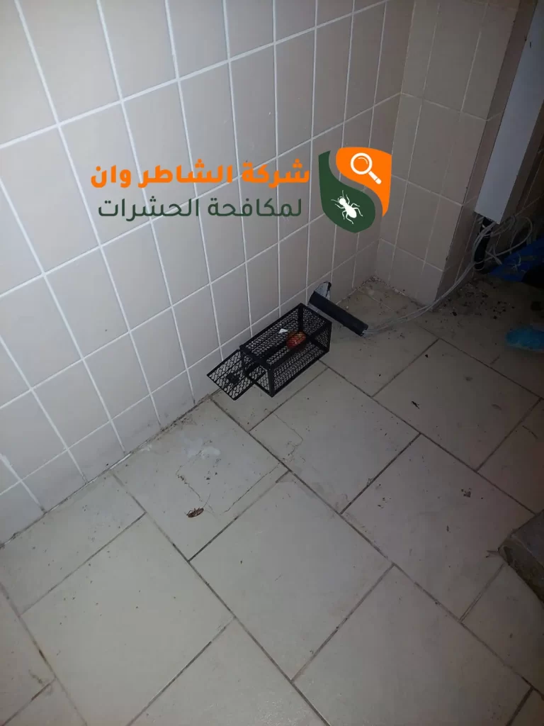 مكافحة فئران