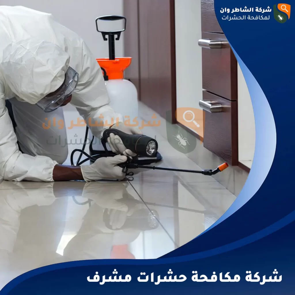 شركة مكافحة حشرات مشرف