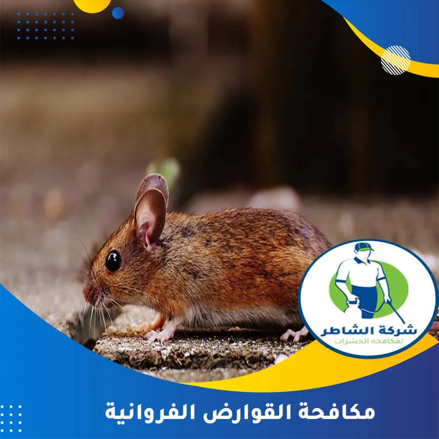 مكافحة القوارض الفروانية
