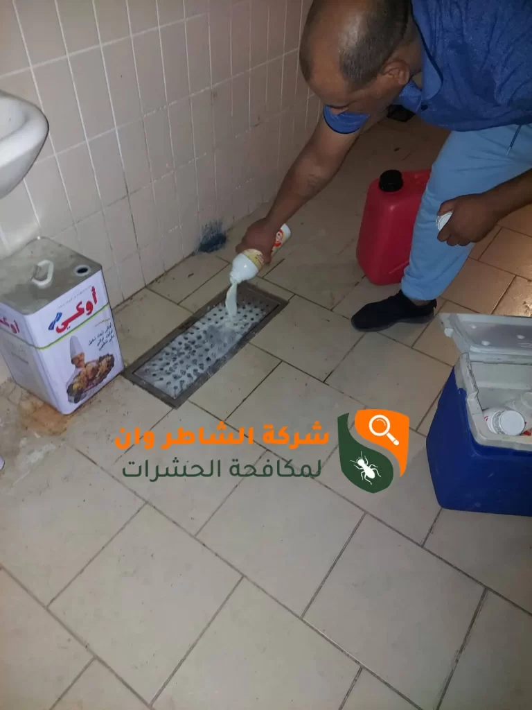 مكافحة حشرات