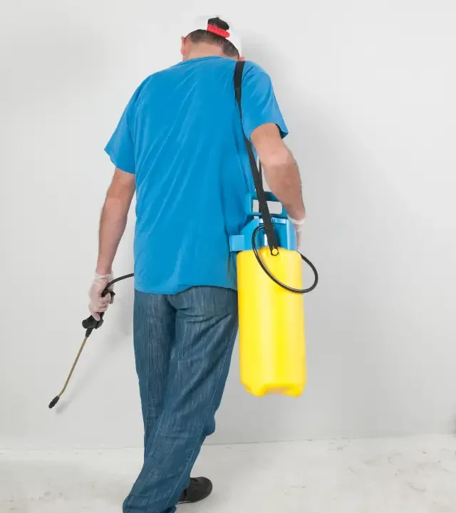 شركة القضاء على الحشرات